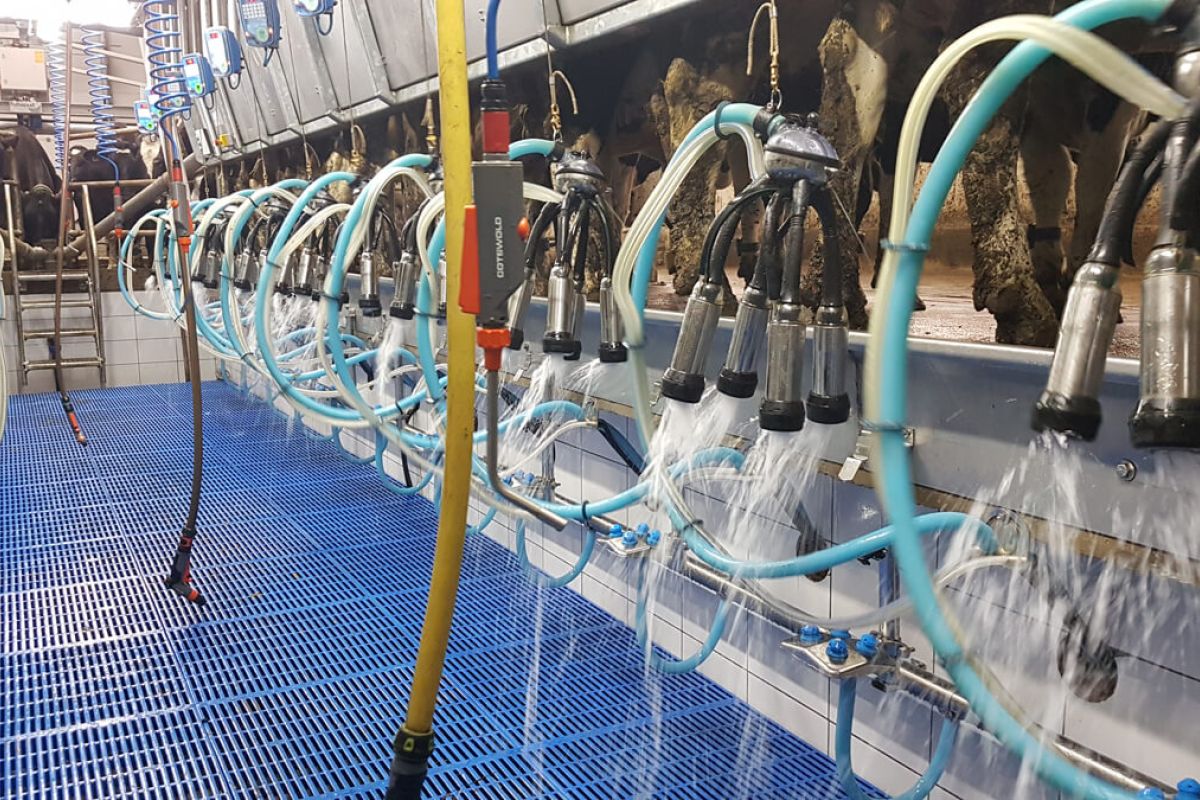 Cotswold Cluster Flush 