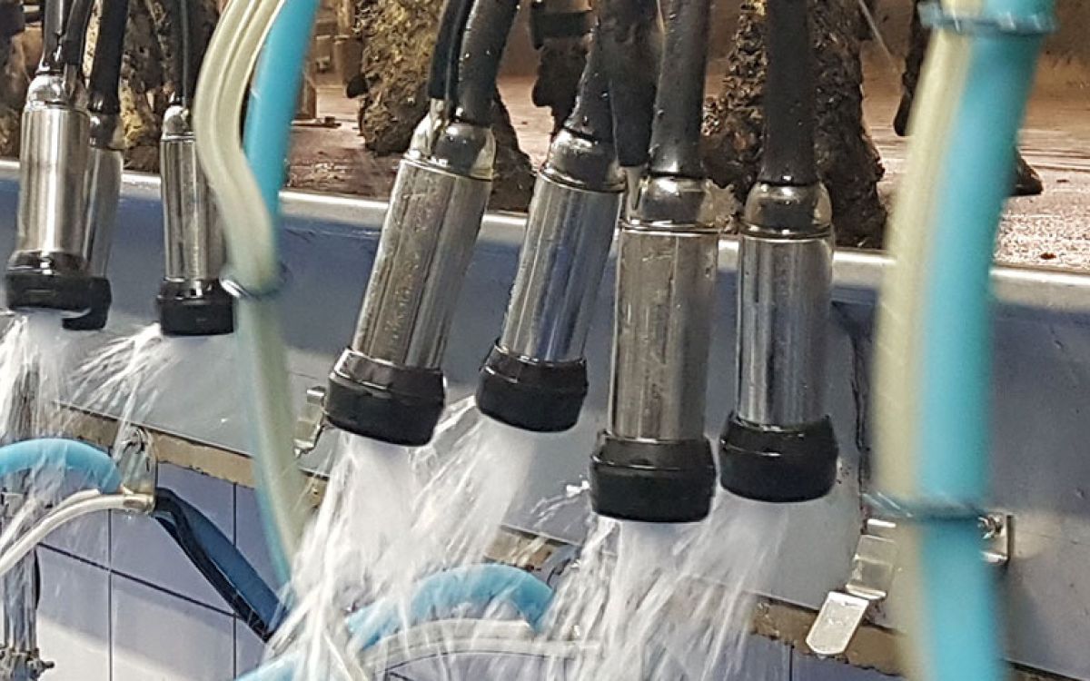 Cluster Flush Systems