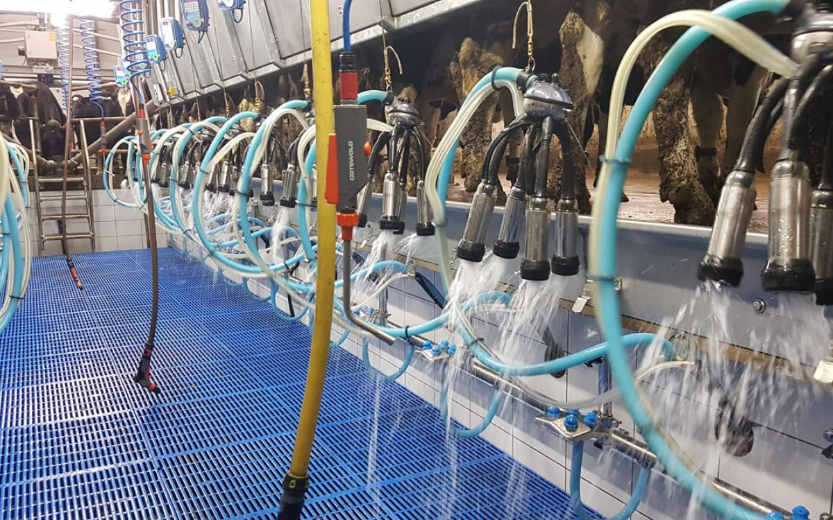 Cotswold Cluster Flush 