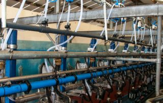 Cotswold Dairy Equipment