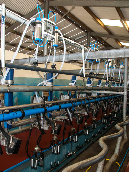 Milking Parlour Hygiene Solutions Cotswold Dairy Equipment