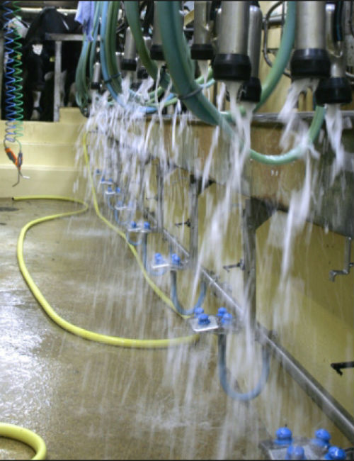 CLusterFlush-3 Automatic Cluster Flush