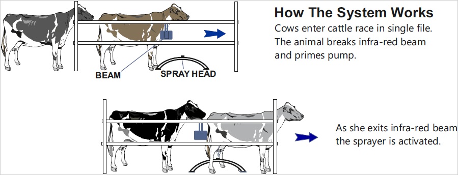 Moojet System | Cotswold Dairy Equipment